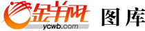 频道名称