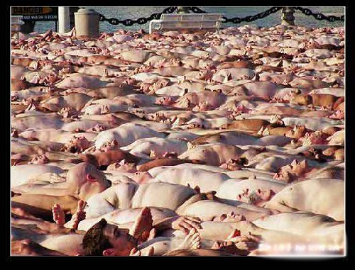 国外街头的裸体行为艺术(组图)