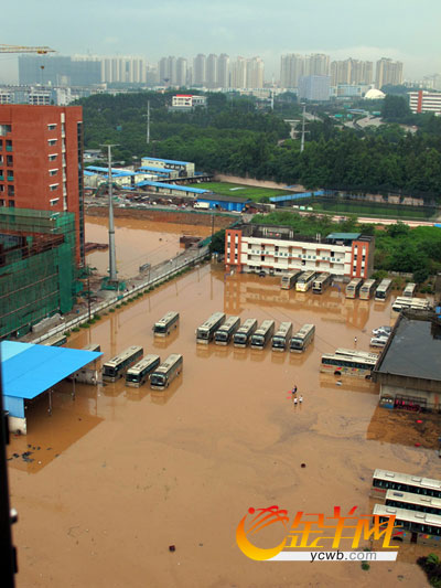 广州暴雨倾城 水浸机场大巴 - 金羊网-华南地区