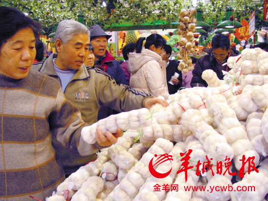 菜价为何涨了又涨天灾人祸导致市民吃贵菜