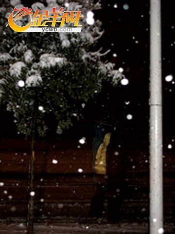 网友发来的“萝岗昨日凌晨下雪”的图片。 网友发来的“萝岗昨日凌晨下雪”的图片。