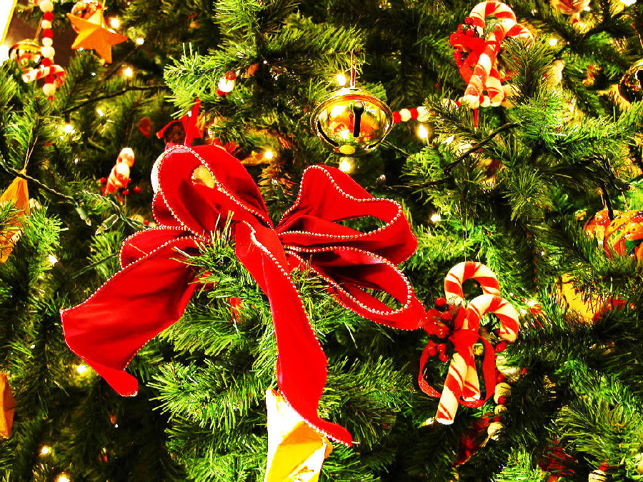 圣诞美图祝福语大全(组图)--金羊网