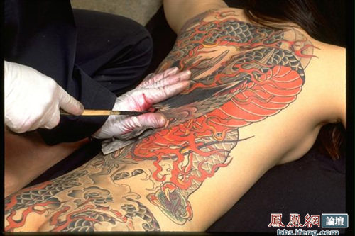 日黑帮女老大艳丽纹身(组图)--金羊网