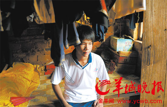 徐闻县有多少人口_徐闻县菠萝的海图片(3)