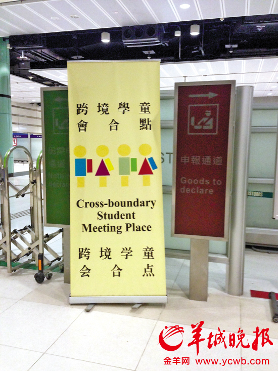 深港跨境学童图片