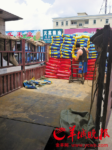 　　常平粮油饲料批发市场，工人正在卸货