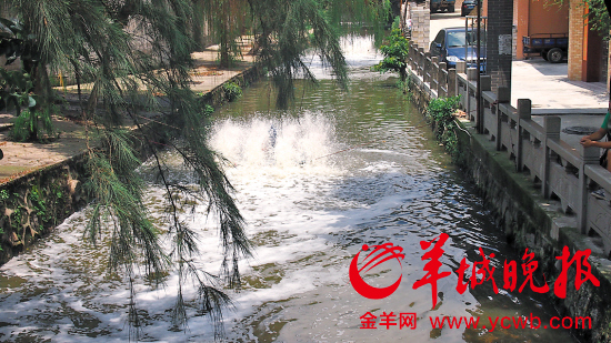 　　治理后，河水可以倒映出两岸的树影，没有难闻的气味