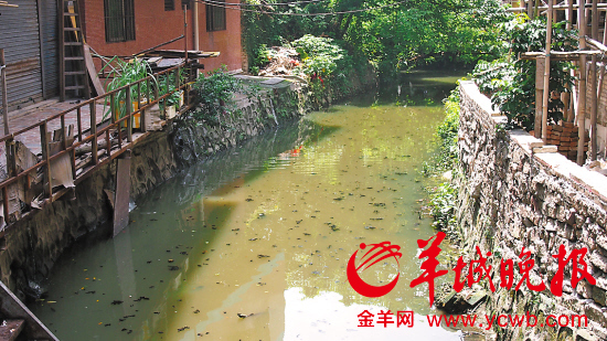 　　治理前，河水浑浊发黑，漂满垃圾，散发着恶臭