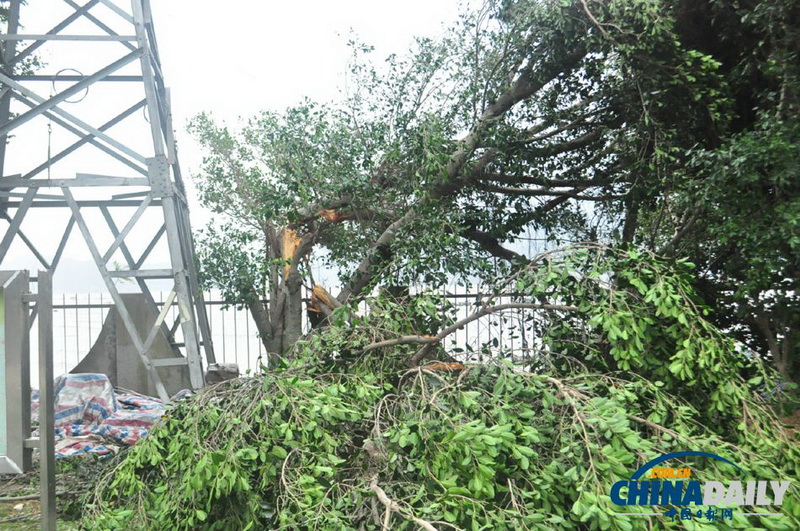 菲特台风降水_菲特台风对宁波的影响_菲特台