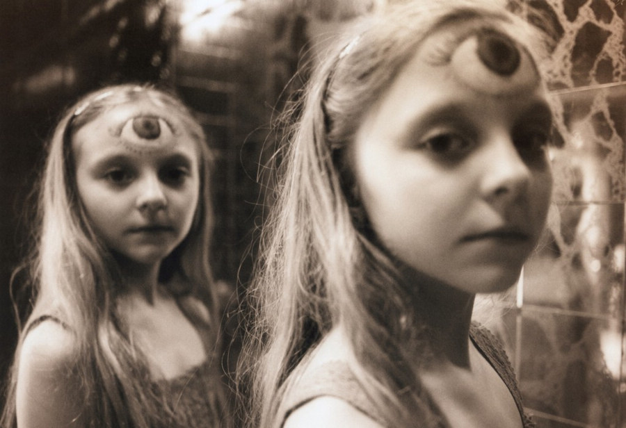 冰岛<em>双胞胎姐妹</em>花的成长<em>故事</em>