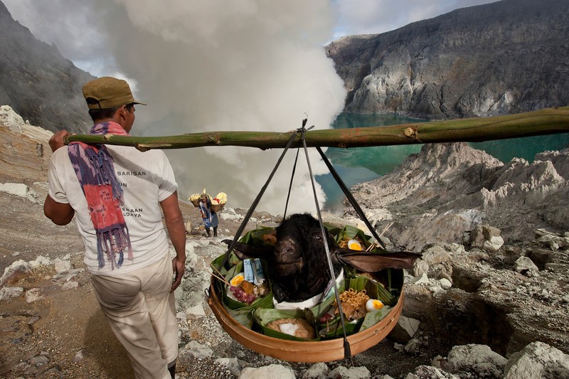 12月17日,印度尼西亚日惹的伊真火山,硫磺矿工将祭祀用的羊头抬到