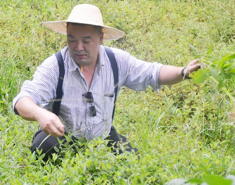 在赖氏红茶沉寂百年后,赖培华在族谱中找到一条关于