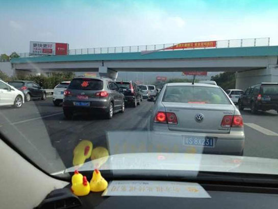 千亿金库内部探秘图片