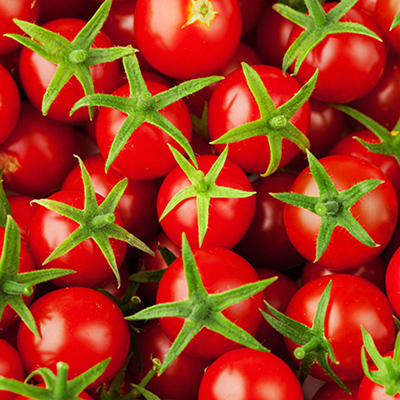 ʲͣڶ
