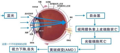 【视频】眼睛会欺骗你，眼睛会欺骗你qvod_自己的眼睛.耳朵会欺骗自己吗?