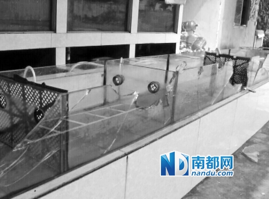打砸饭店 - 史上最牛砸饭店图片 - 打砸警察局-猪猪 ...
