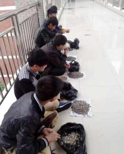 学生上课嗑瓜子 老师买百斤让嗑个够