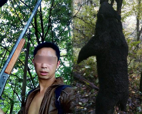 四川千万富翁猎杀黑熊剥皮卖肉:只图个好玩