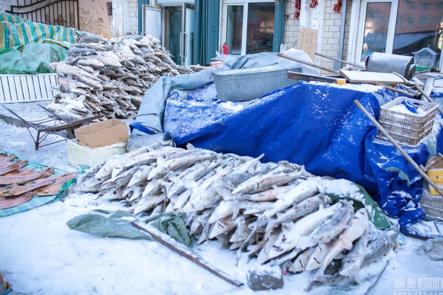 探秘中国最东市场 冻鱼倒插雪地上卖
