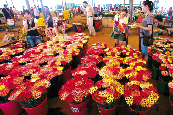 请问广州岭南花卉市场的玫瑰花都是从那里过来的