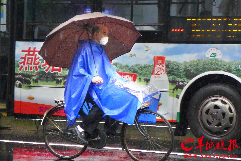 广州今晨 久热逢雨暂清凉 - 金羊网