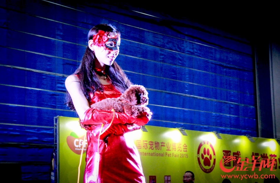 绝美喵女郎亮相宠博会 上演人宠互动养眼大片