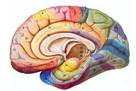  英女子超强记忆 :全球共79人患此超强记忆病_金