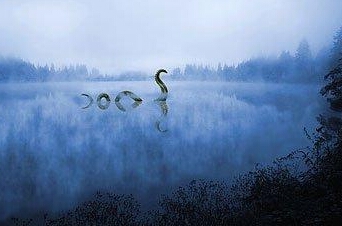  老鼠长着猪鼻子  又大又扁朝前上翻 网友:萌翻了