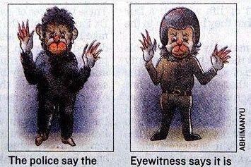  老鼠长着猪鼻子  又大又扁朝前上翻 网友:萌翻了