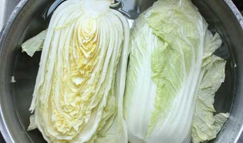 韩国白菜卖出天价:每棵白菜卖19元 涨幅一度超
