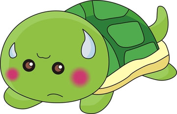  男子桥下放生乌龟  象抛铅球似的把龟龟扔到海