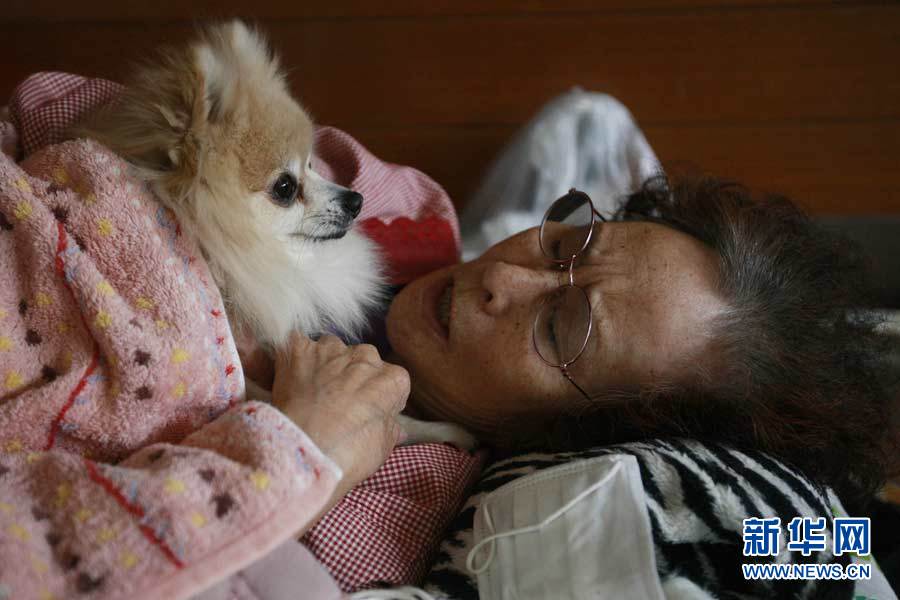  男孩失足掉 进 猩猩窝 之后 盘点人与动物的感人