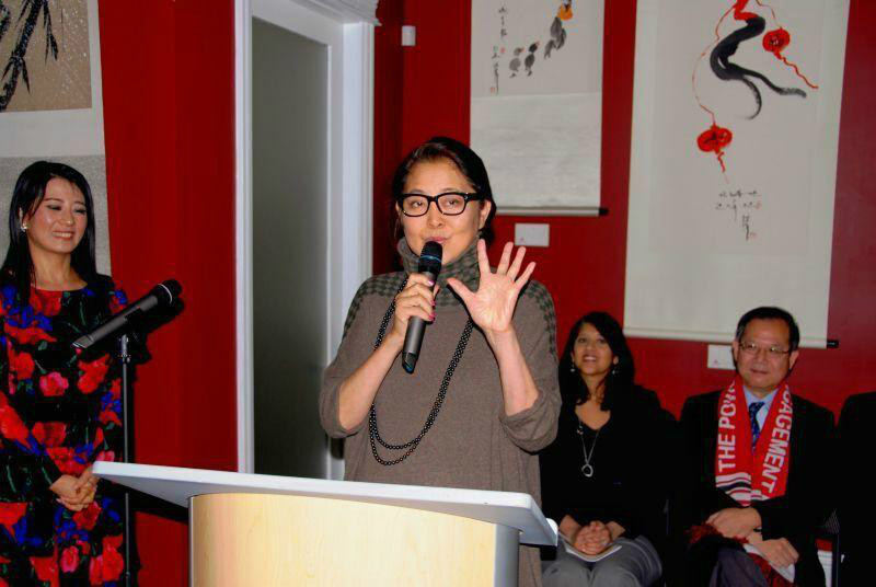 央视主持人倪萍加拿大办书画展大受欢迎 让其