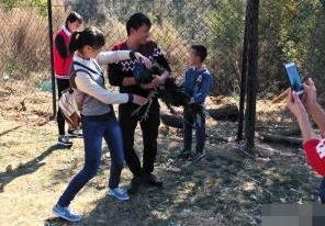  云南蓝孔雀被吓死  律师称园区可要求游客赔偿
