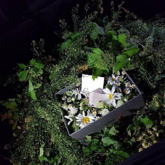  安宰贤 晒 求婚具惠善 过程 具慧善一脸幸福笑容