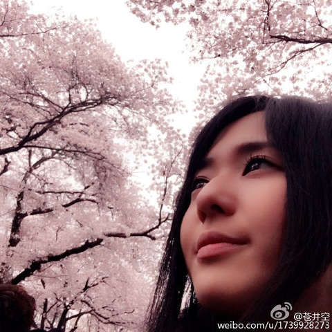 冯提莫收入多少_小苍月收入多少(3)