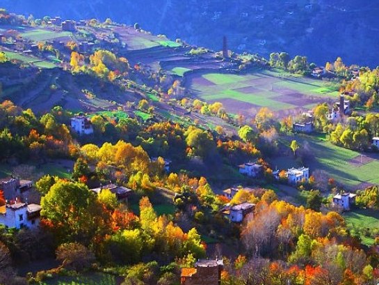 南溪镇,其中鸣岗村,宝镜院村,林惠山村,登峰村等是主体建设村