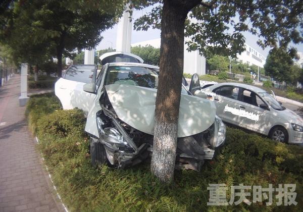 太节约!女司机蹭洒水车洗车 结果一头撞树上