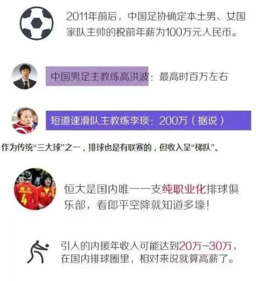 中国排球联赛颁奖典礼_排球联赛收入(3)