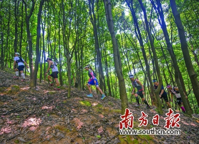 广州天河筲箕窝水库 一抹清凉随波来