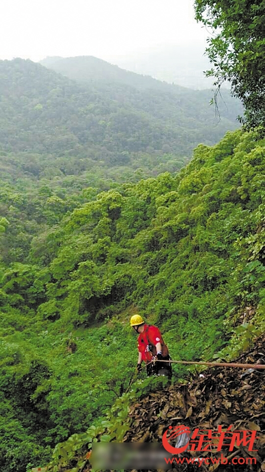 广州一驴友误入火炉山"死亡通道"失足坠崖死亡