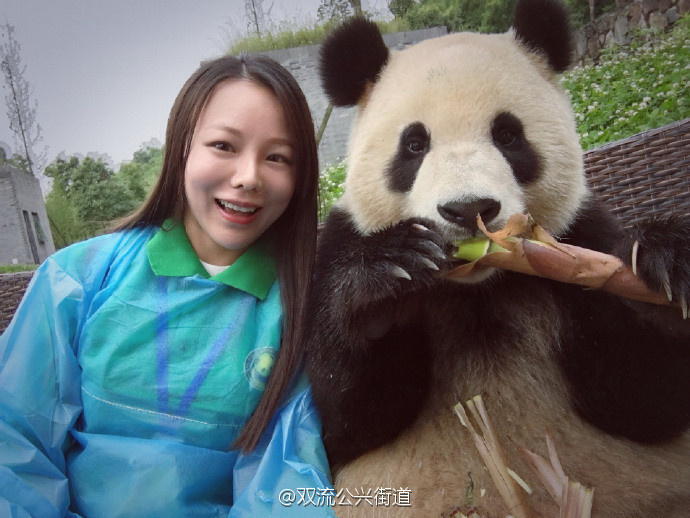 萌翻了！大熊猫与妹子合影居然会自己找角度