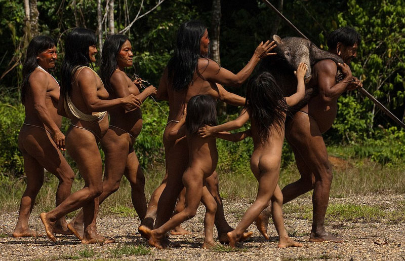 亚马逊原始部落以猎猴为生 多为扁平足