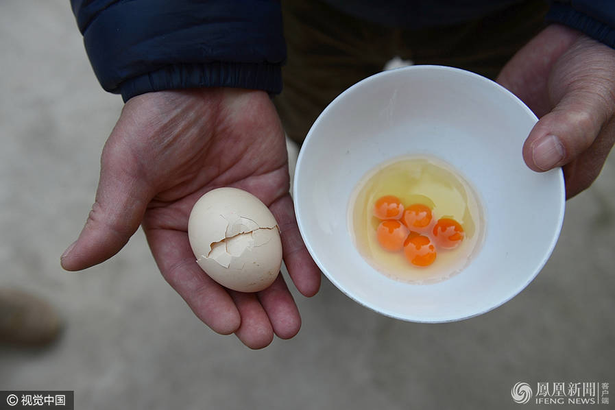武汉市民买鸡蛋现“一蛋五黄”