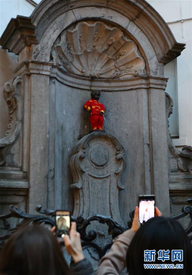 布鲁塞尔小尿童穿唐装迎春节
