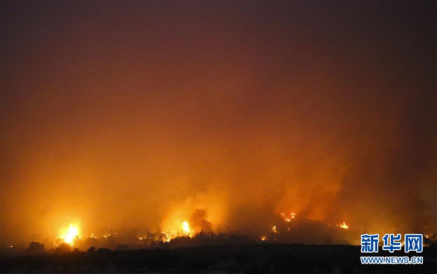 智利森林大火已造成11人死亡