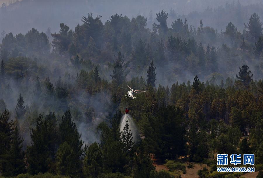 智利森林大火已造成11人死亡