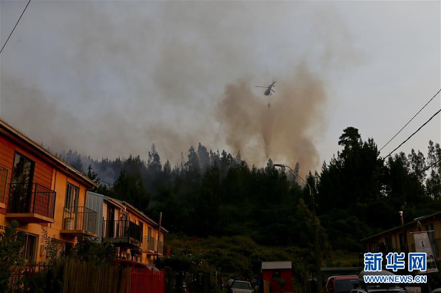 智利森林大火已造成11人死亡