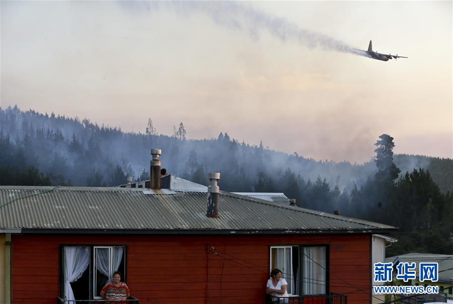智利森林大火已造成11人死亡