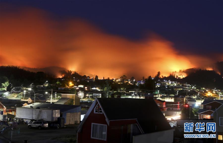 智利森林大火已造成11人死亡